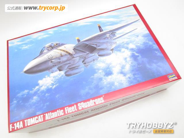 ハセガワ 1/48 F-14A トムキャット 大西洋空母航空団