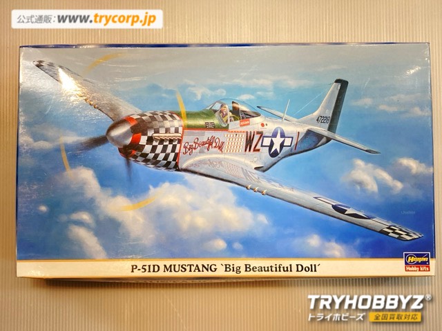 ハセガワ 1/48 P-51D ムスタング ‘ビッグ ビューティフル ドール’ 09480